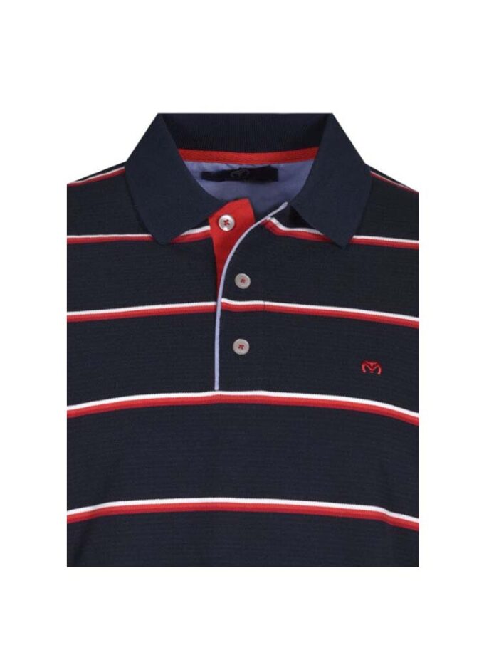 Ανδρικό Κοντομάνικο Polo Μπλε Ριγέ MAKIS TSELIOS