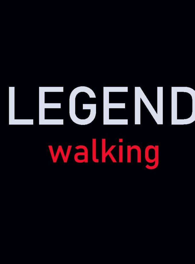 Ανδρικά Κλασικά Παπούτσια Camel LEGEND